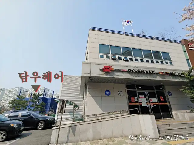 담우 사진 2