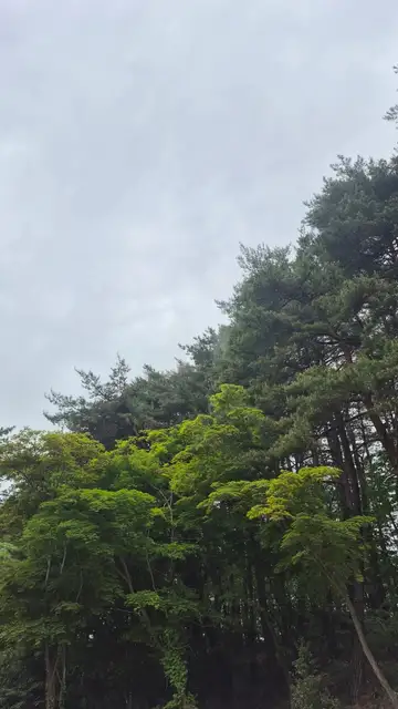 최정운스킨바디 사진 1