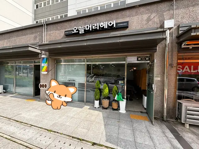 오늘머리헤어 사진 3