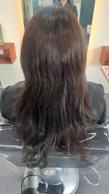 살롱 드 시선 사진 3