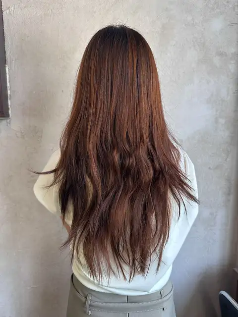 팅크 사진 4