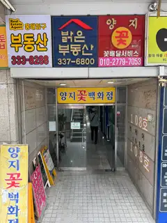 HJ왁싱 사진