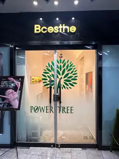 비씨에스테 사진