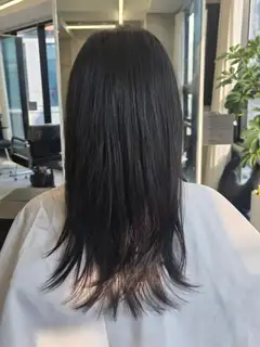 아타르 사진