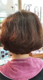 다모헤어 사진
