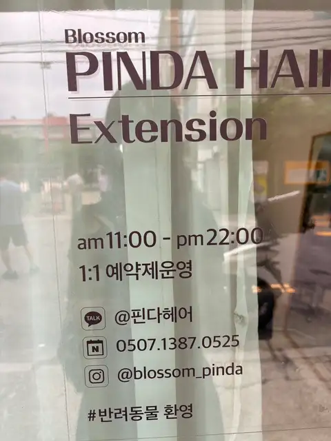 핀다헤어 사진 6