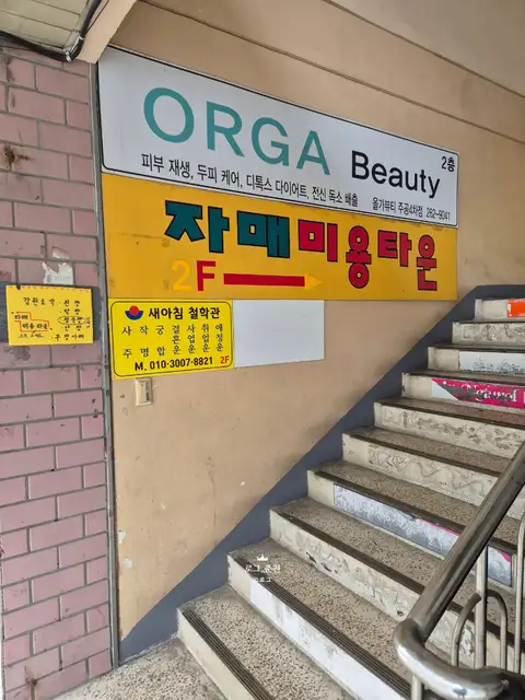 올가뷰티 사진 8
