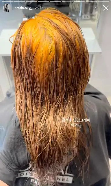 아르틱 사진 4