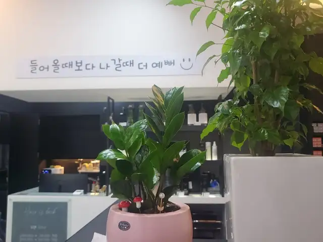 헤어이즈백 사진 8