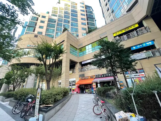 지지래쉬 사진 3