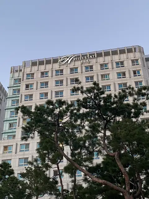 여우스킨 사진 4