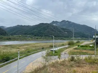 그레이스 사진