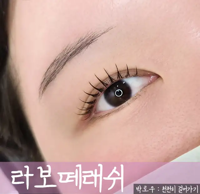 라보떼래쉬 성신여대점 사진 7