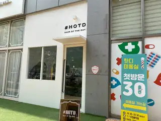 핫디 사진