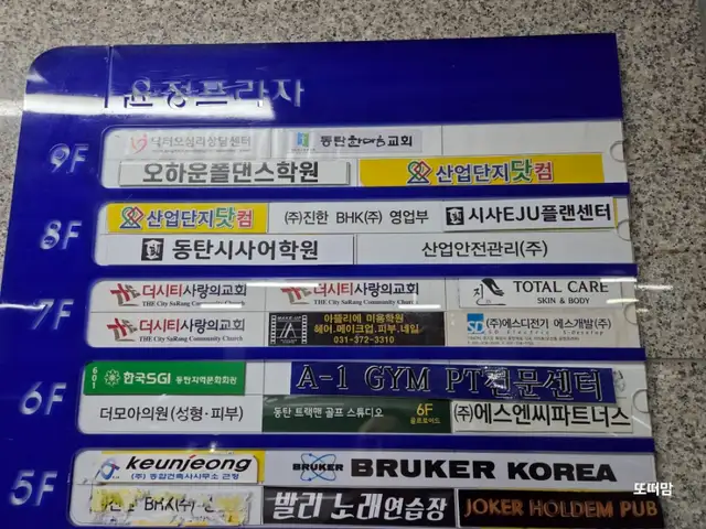 진케어 사진 8