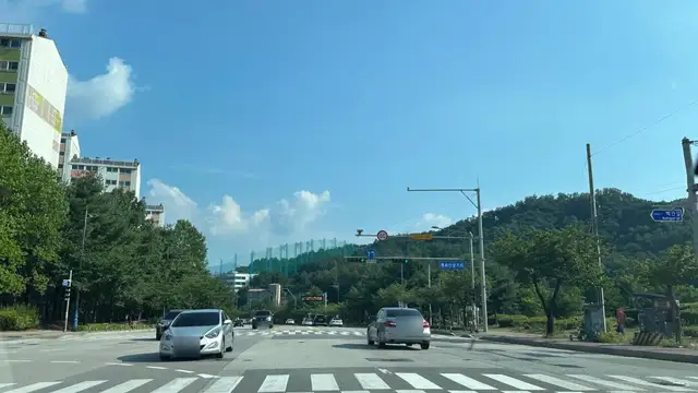 더유니크 사진 8