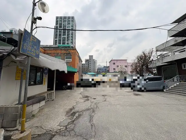 메리디네일 사진 4