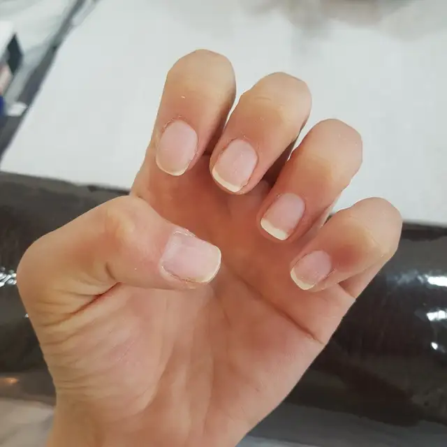 강알트 사진 3