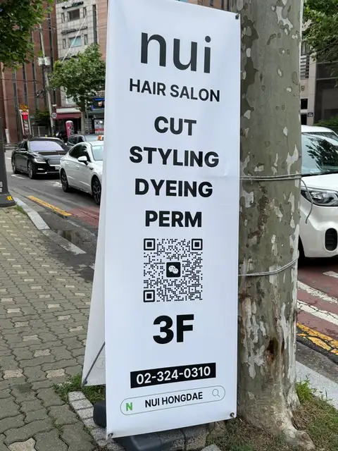 누이 사진 2