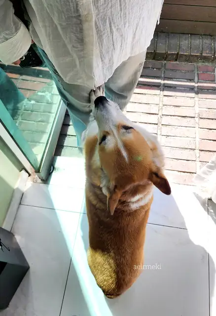 피움 합정역점 사진 3