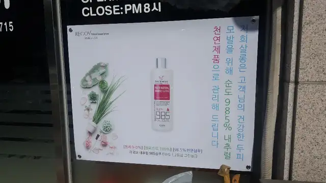 빛수노아 사진 3