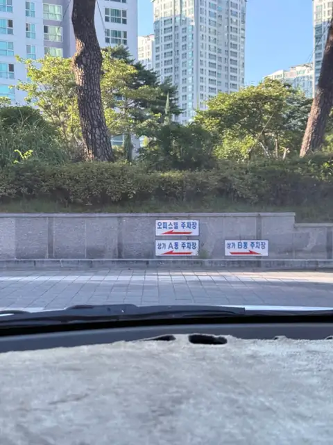 코코네일 사진 2