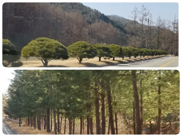 최종희헤어닥터 사진 7