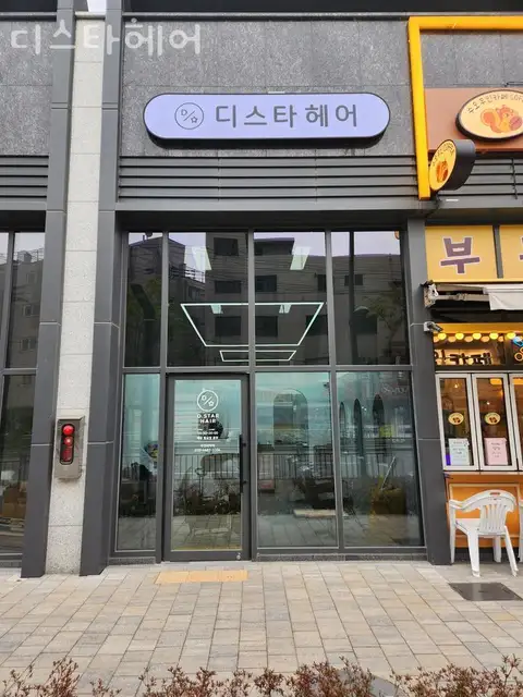 디스타헤어 사진 3