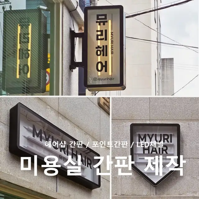뮤리헤어 사진 3