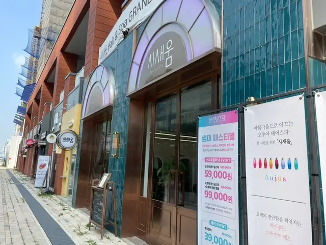 시새움 사진 7