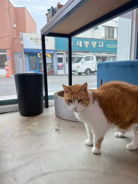 반함헤어 강릉점 사진 4