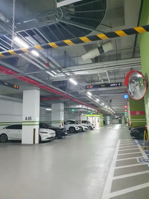 네일드벨르 사진 2