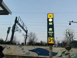 에일린 사진