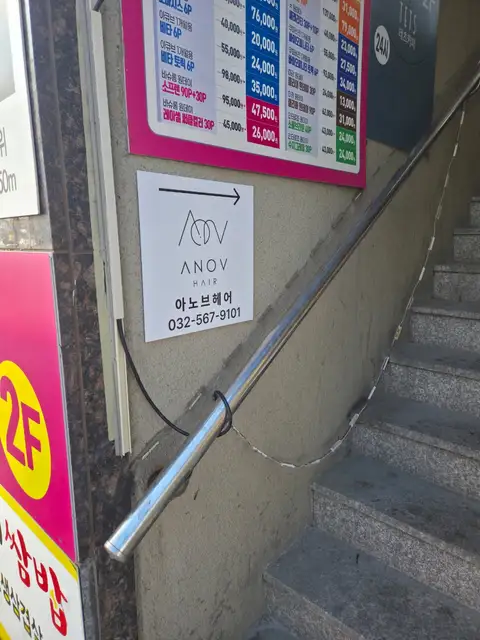 아노브헤어 사진 2