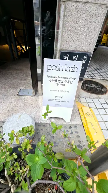 포쉬래쉬 사진 8
