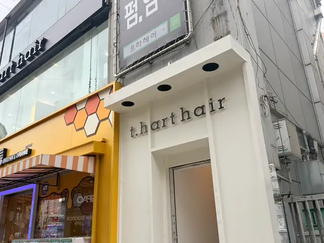 트하헤어 사진 8