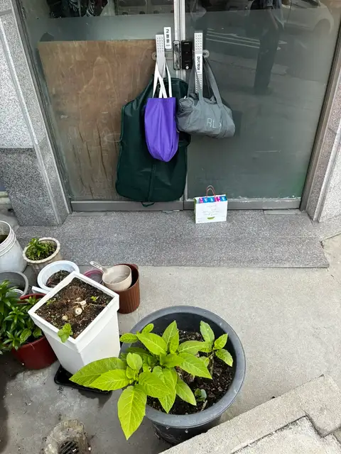 목화살롱 사진 4