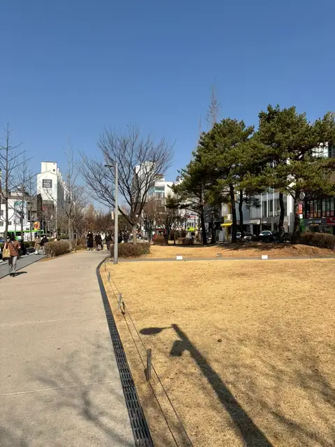 이오브 도큐먼트 사진 3