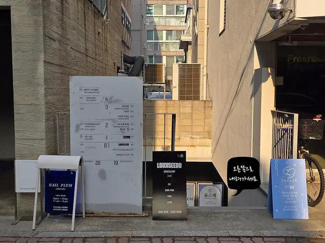 네일플럼 사진 8