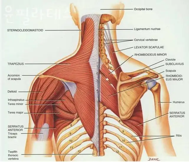 윤필라테스 사진 2