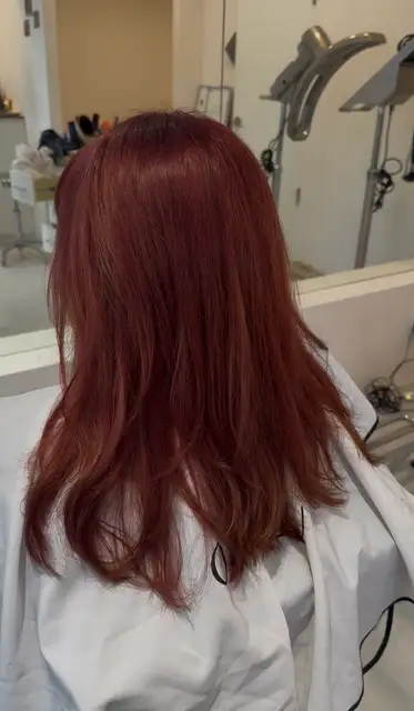 온이유 사진 2