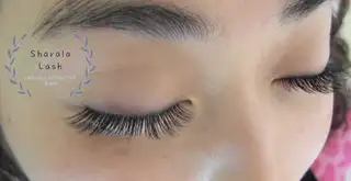 샤랄라속눈썹 사진