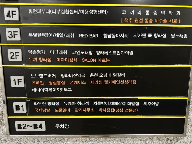 다다래쉬 사진 1