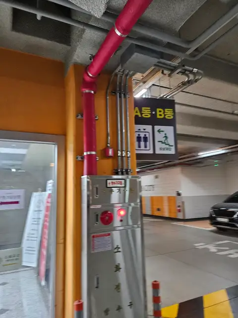 퍼스테틱 사진 3