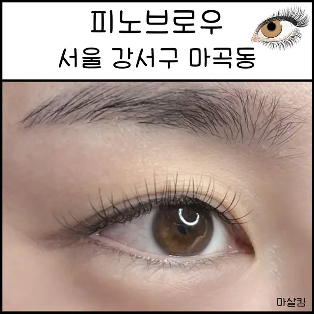 피노브로우 사진 5