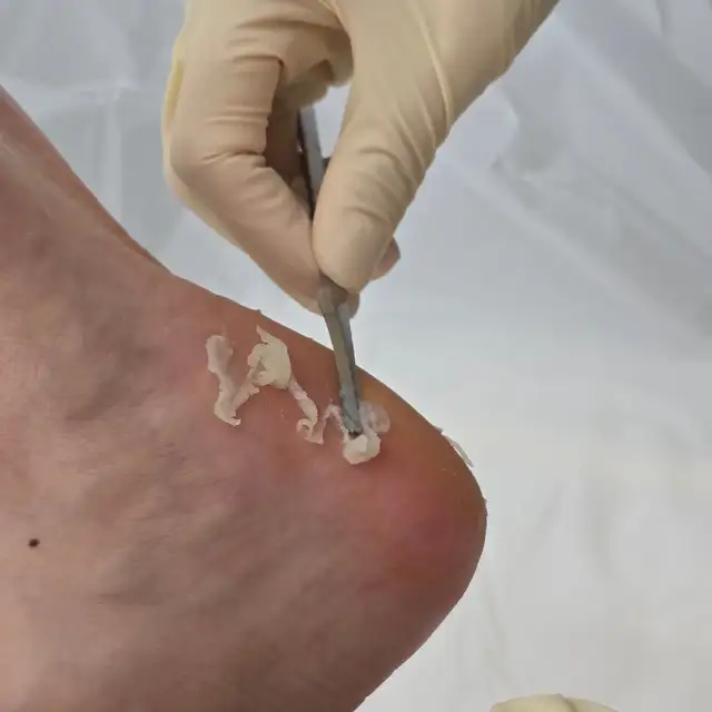 라일라뷰티 사진 2