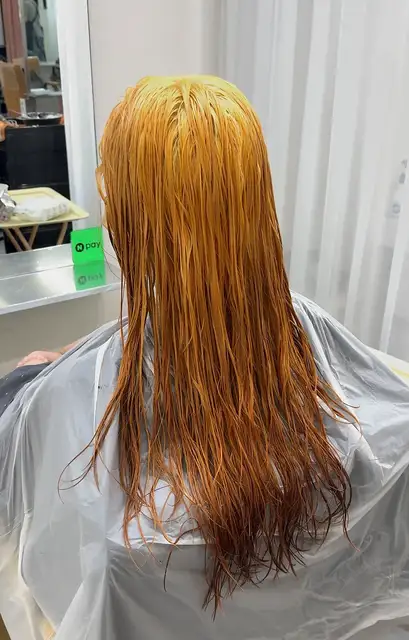 논노브 사진 6
