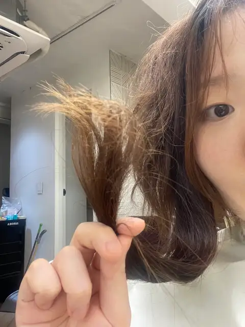 더쉼 사진 3