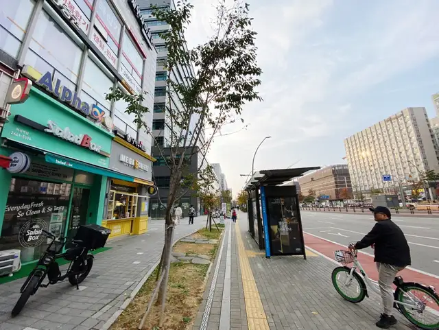 안단테 사진 5