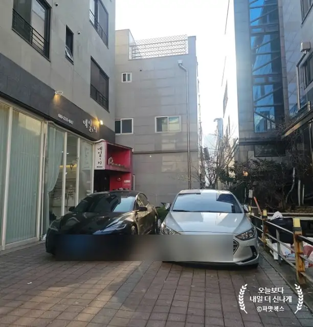 오르톤헤어 사진 4